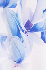 Luźna bluzka z krótkim rękawem i printem na przodzie