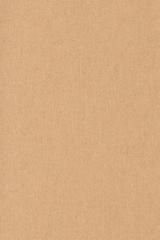 Płaszcz w odcieniu beżu