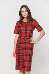 A classic cut red checkered dress